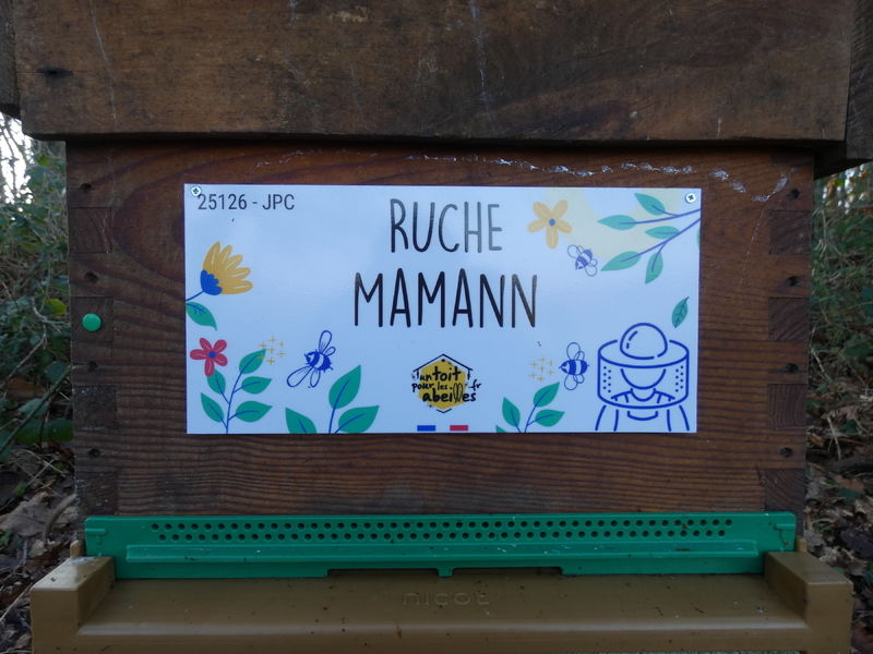 La ruche Mamann