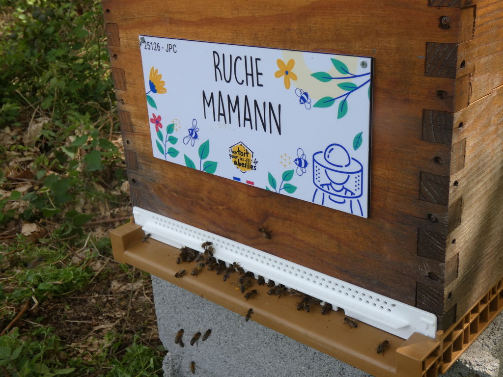 La ruche Mamann