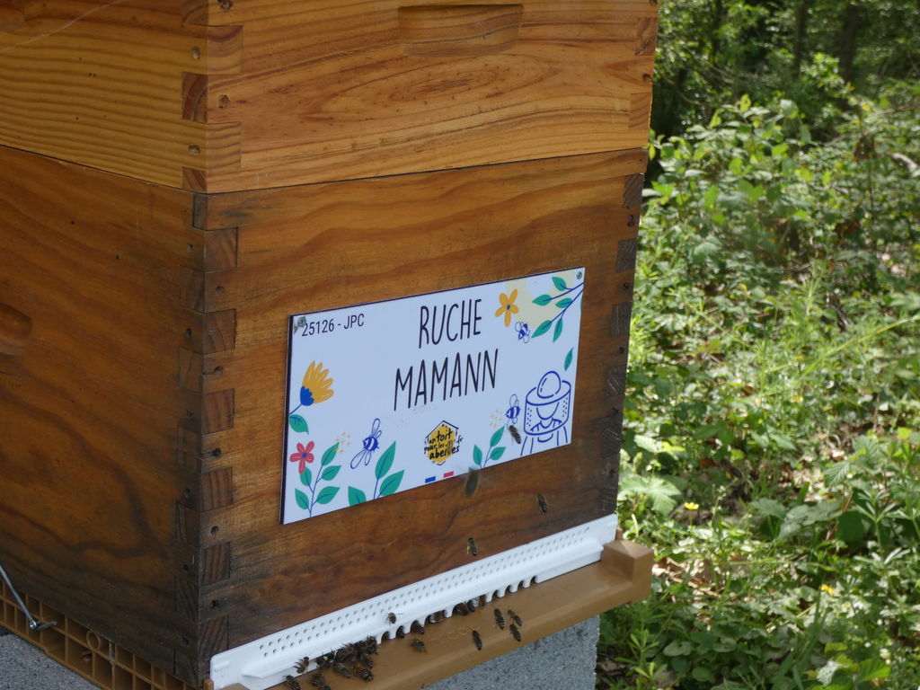 La ruche Mamann