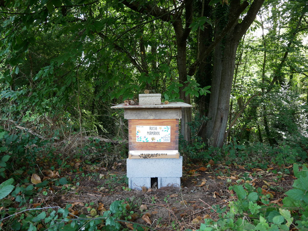 La ruche Mamann