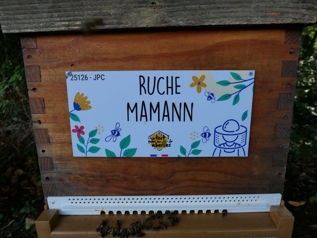La ruche Mamann