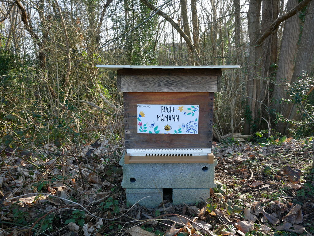 La ruche Mamann