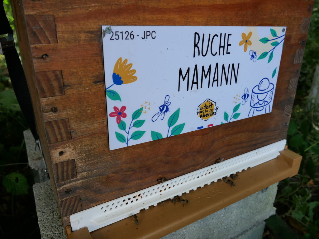 La ruche Mamann