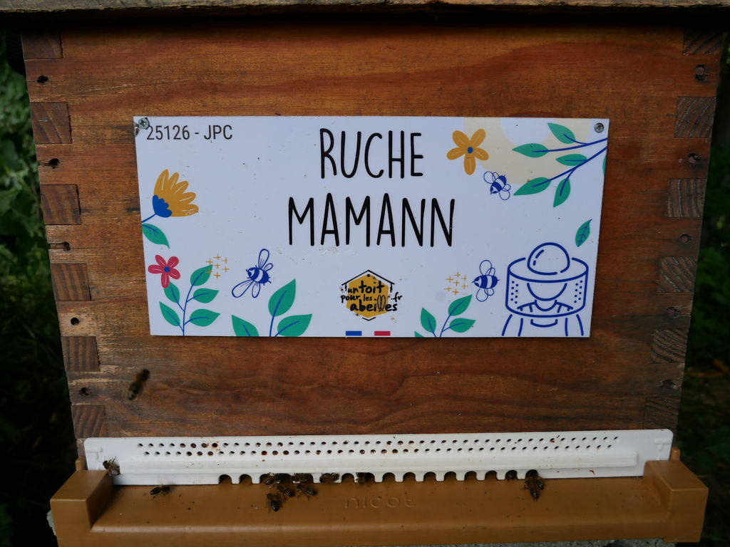 La ruche Mamann
