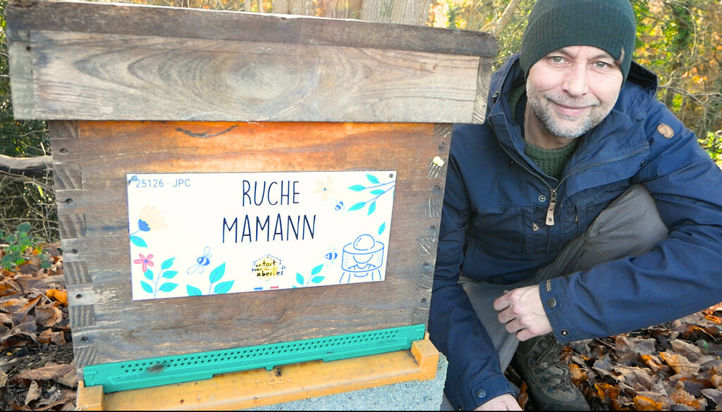La ruche Mamann