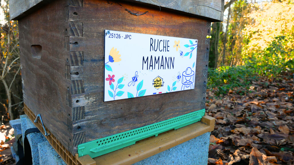 La ruche Mamann