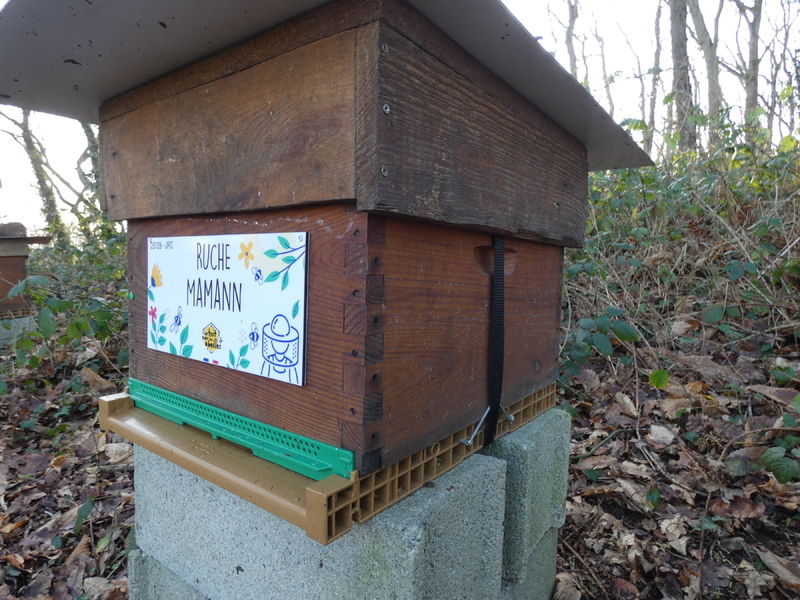 La ruche Mamann