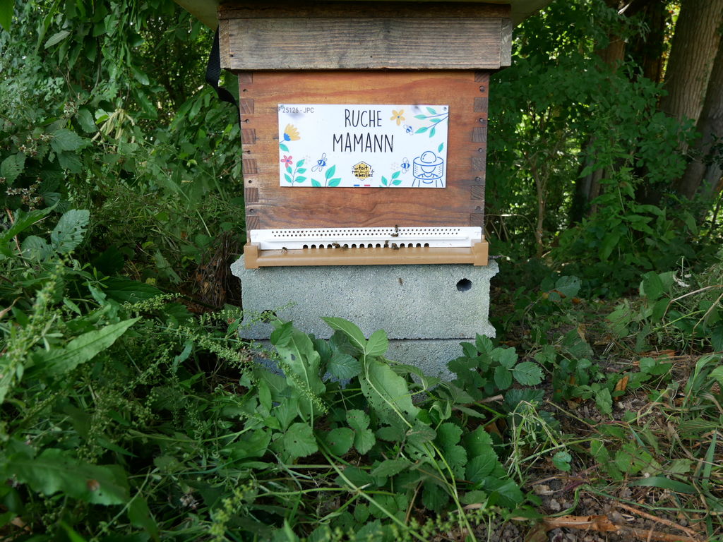 La ruche Mamann