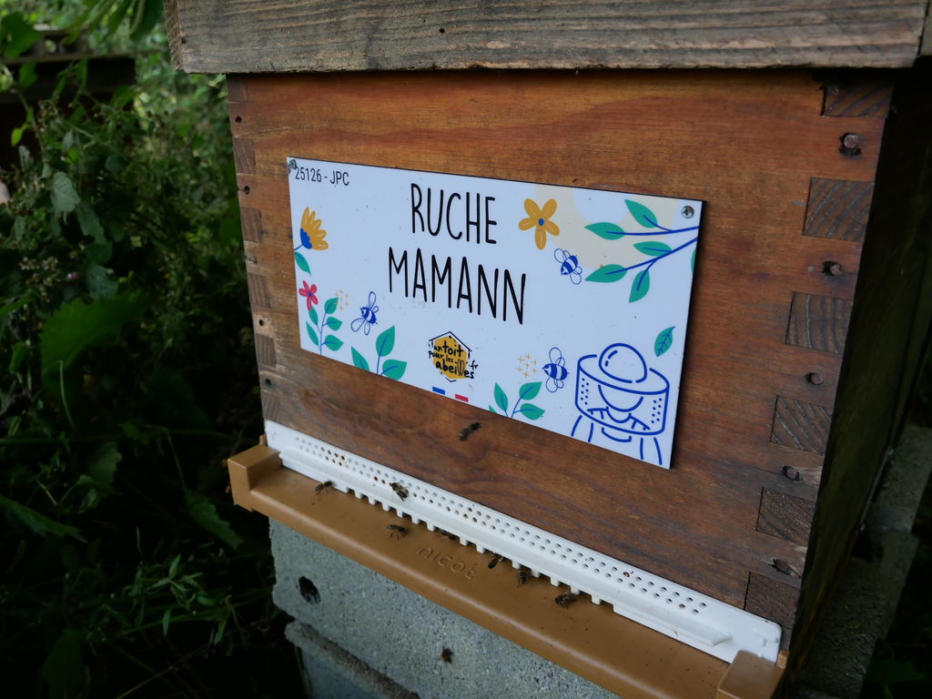 La ruche Mamann