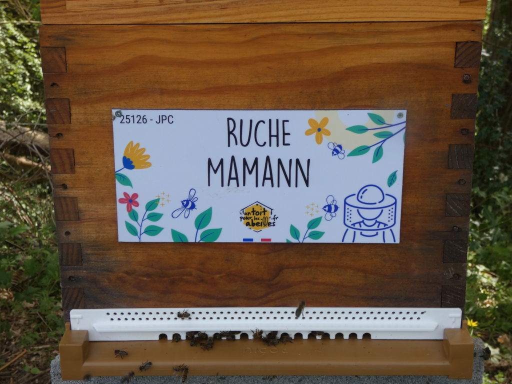 La ruche Mamann