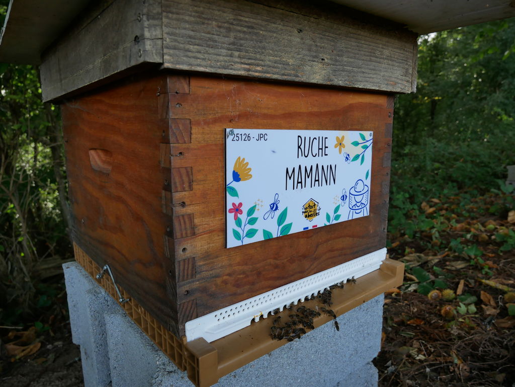 La ruche Mamann
