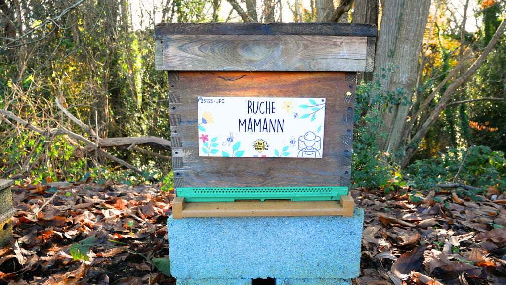 La ruche Mamann