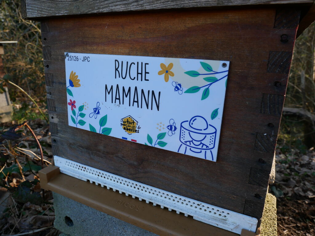 La ruche Mamann