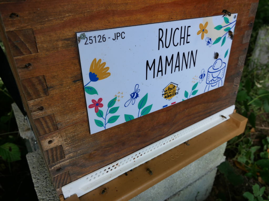 La ruche Mamann
