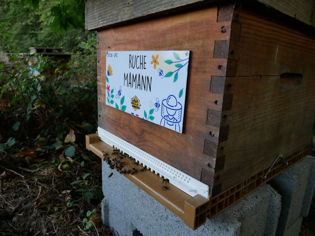 La ruche Mamann