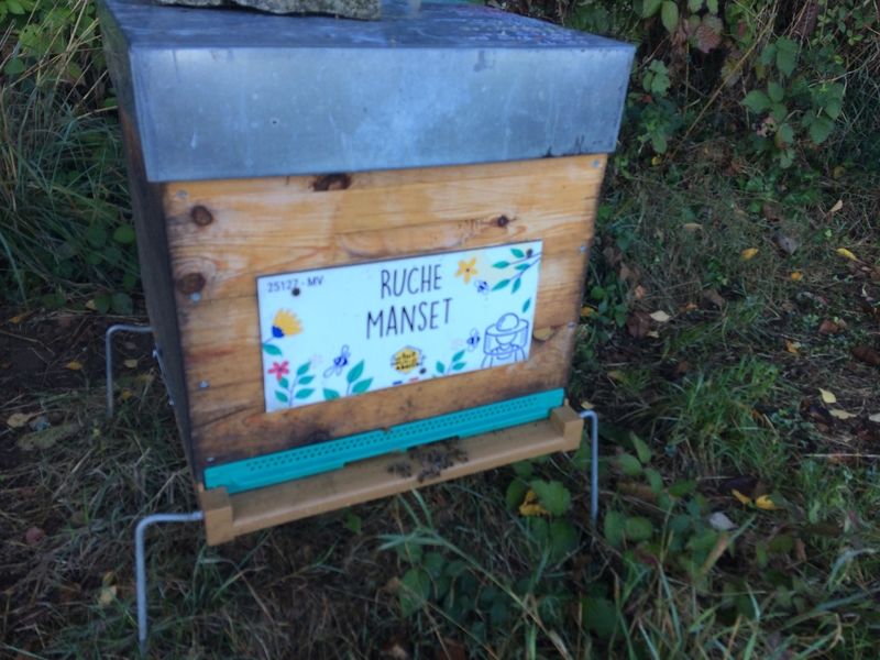 La ruche Manset