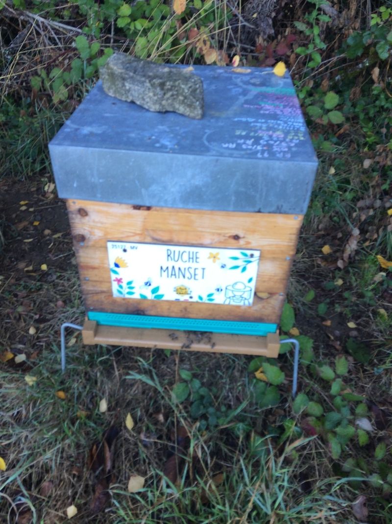 La ruche Manset