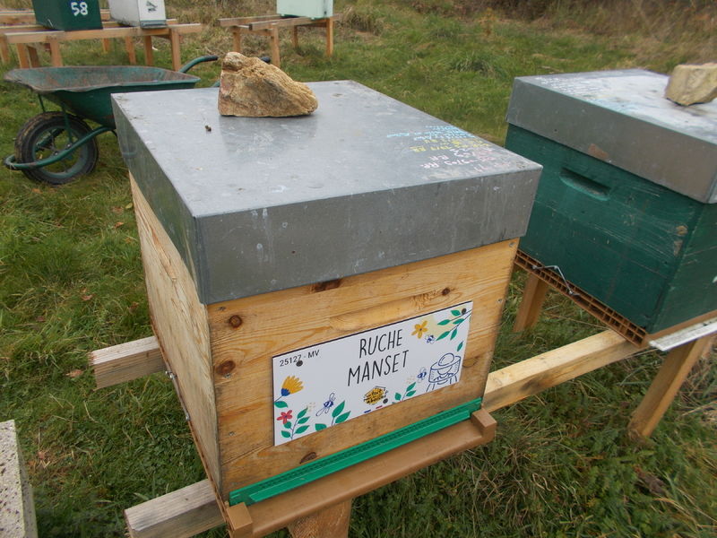 La ruche Manset