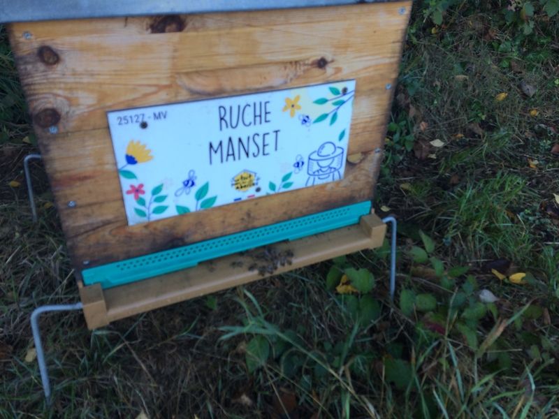 La ruche Manset