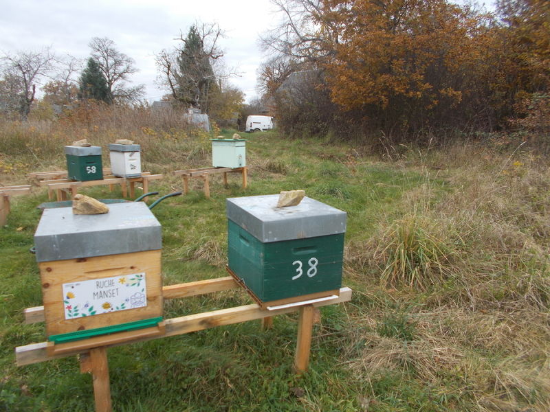 La ruche Manset