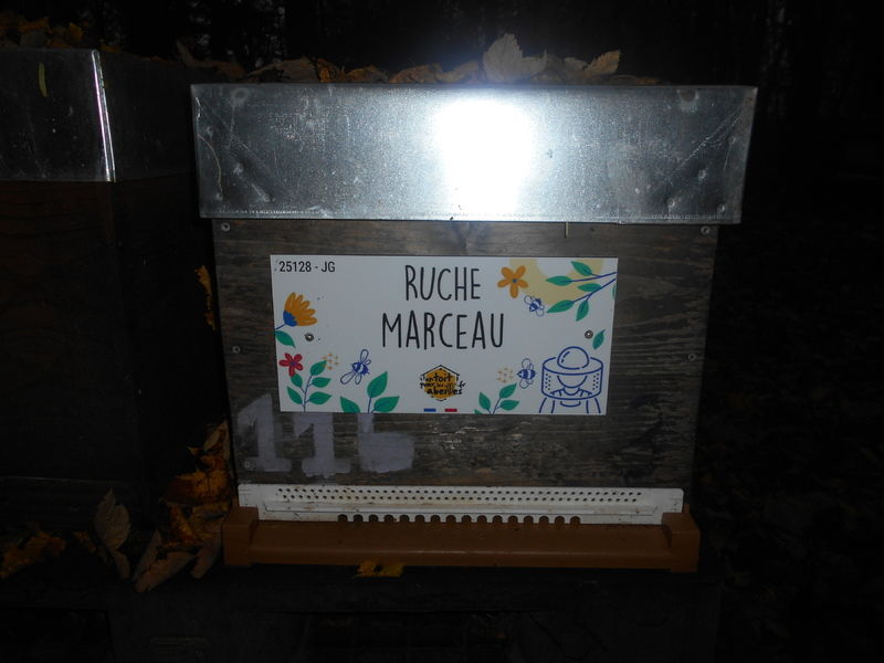 La ruche Marceau