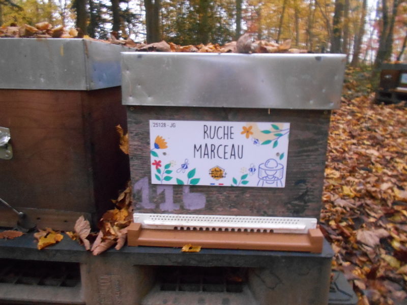 La ruche Marceau