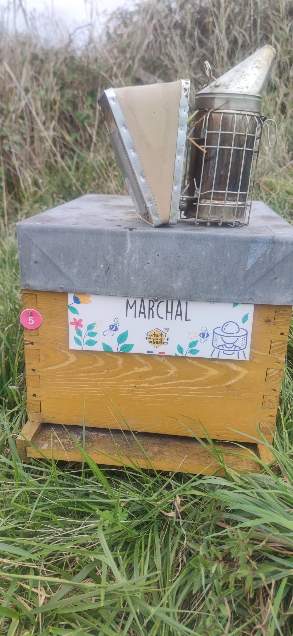 La ruche Marchal