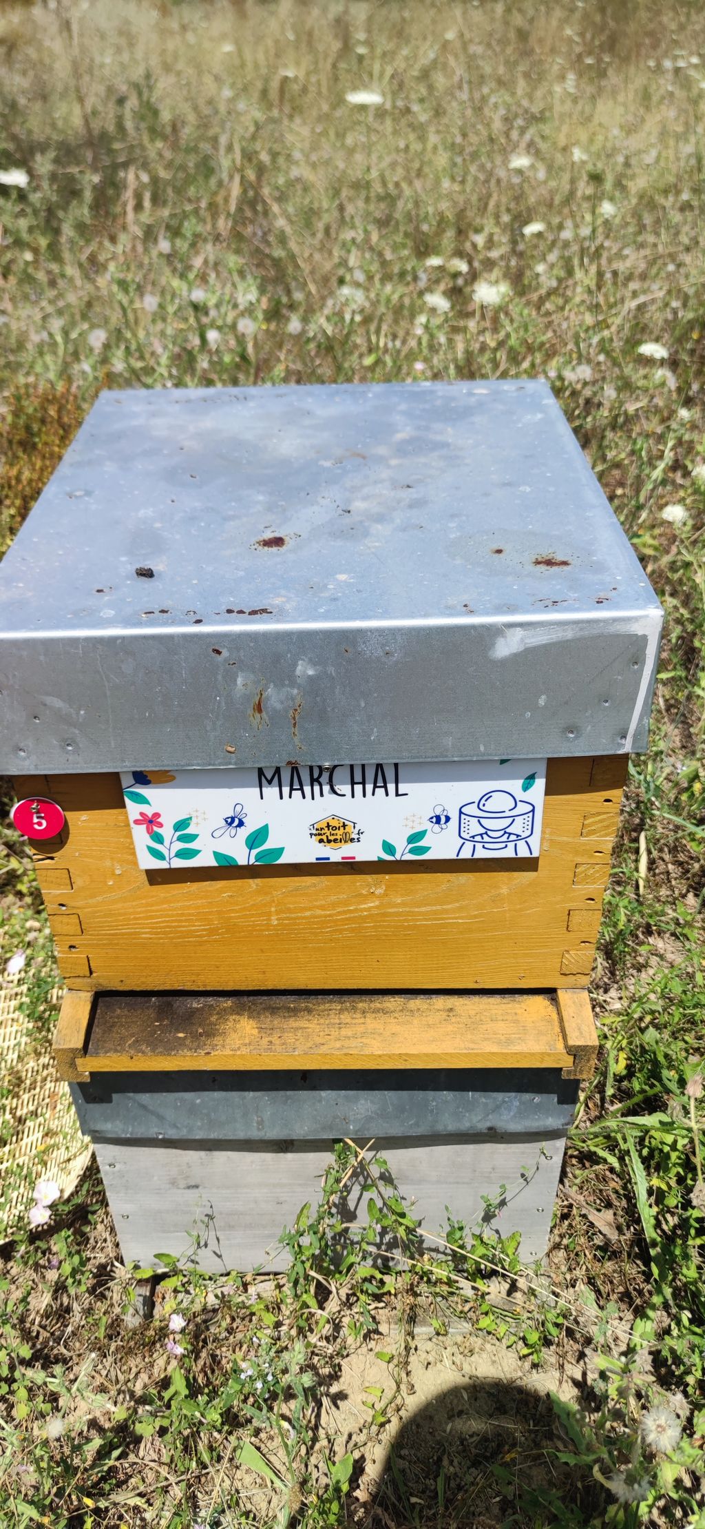 La ruche Marchal