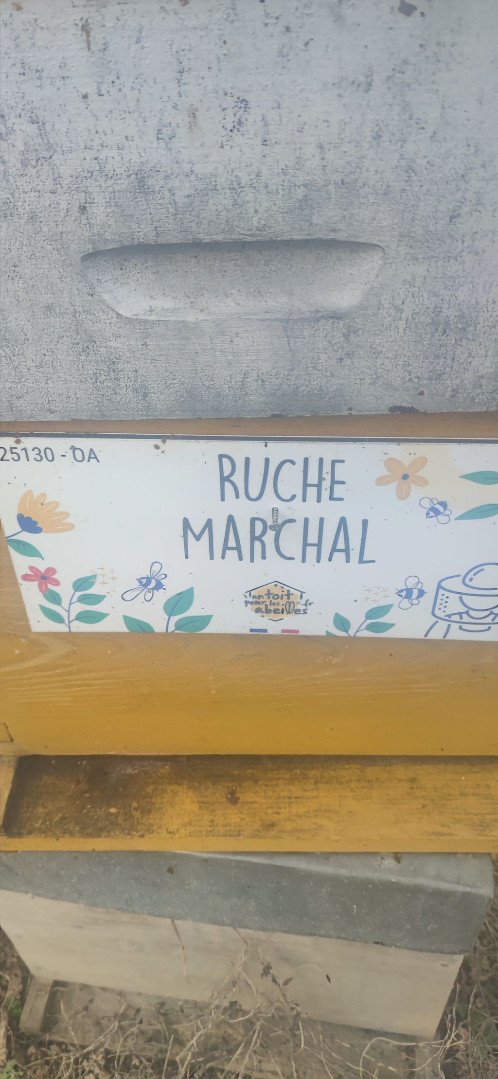 La ruche Marchal