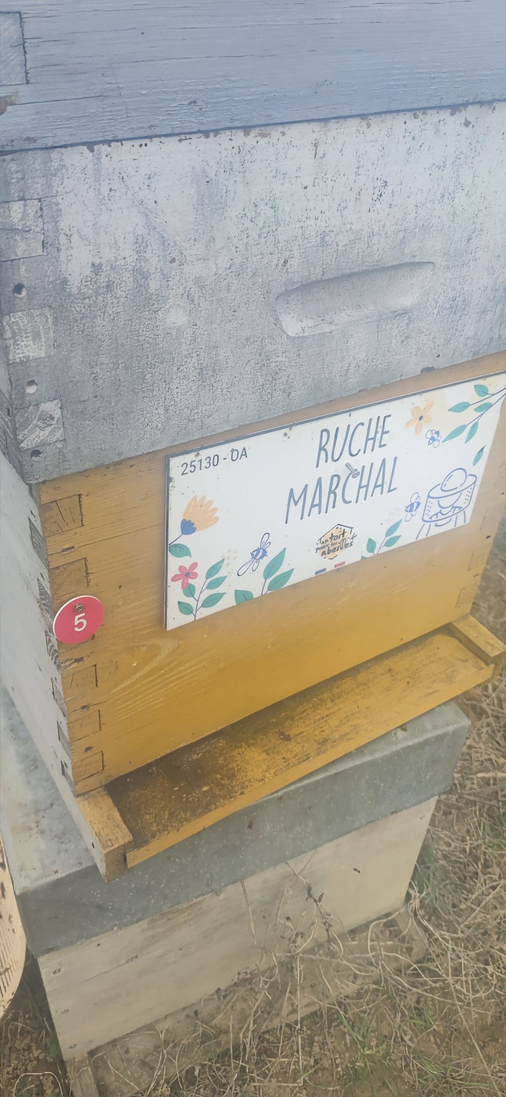 La ruche Marchal
