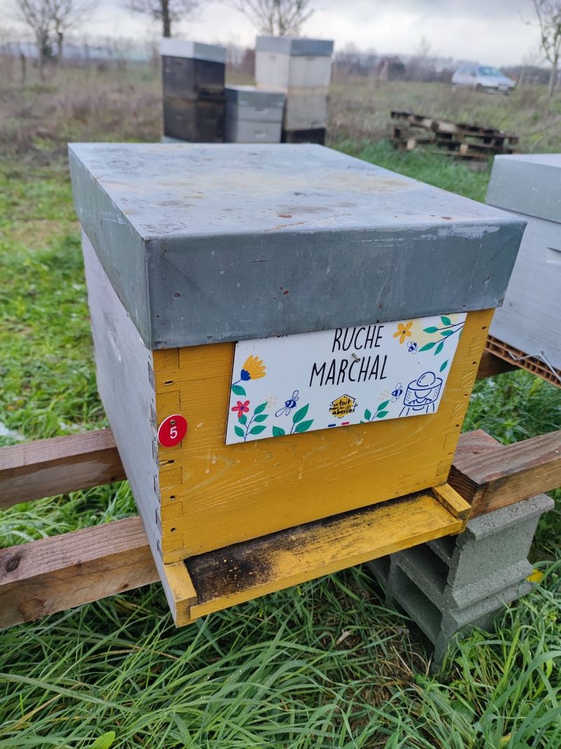 La ruche Marchal