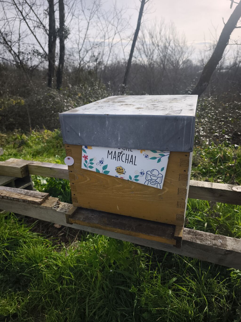 La ruche Marchal