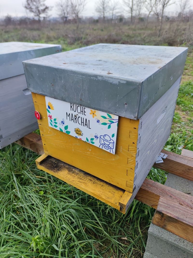 La ruche Marchal