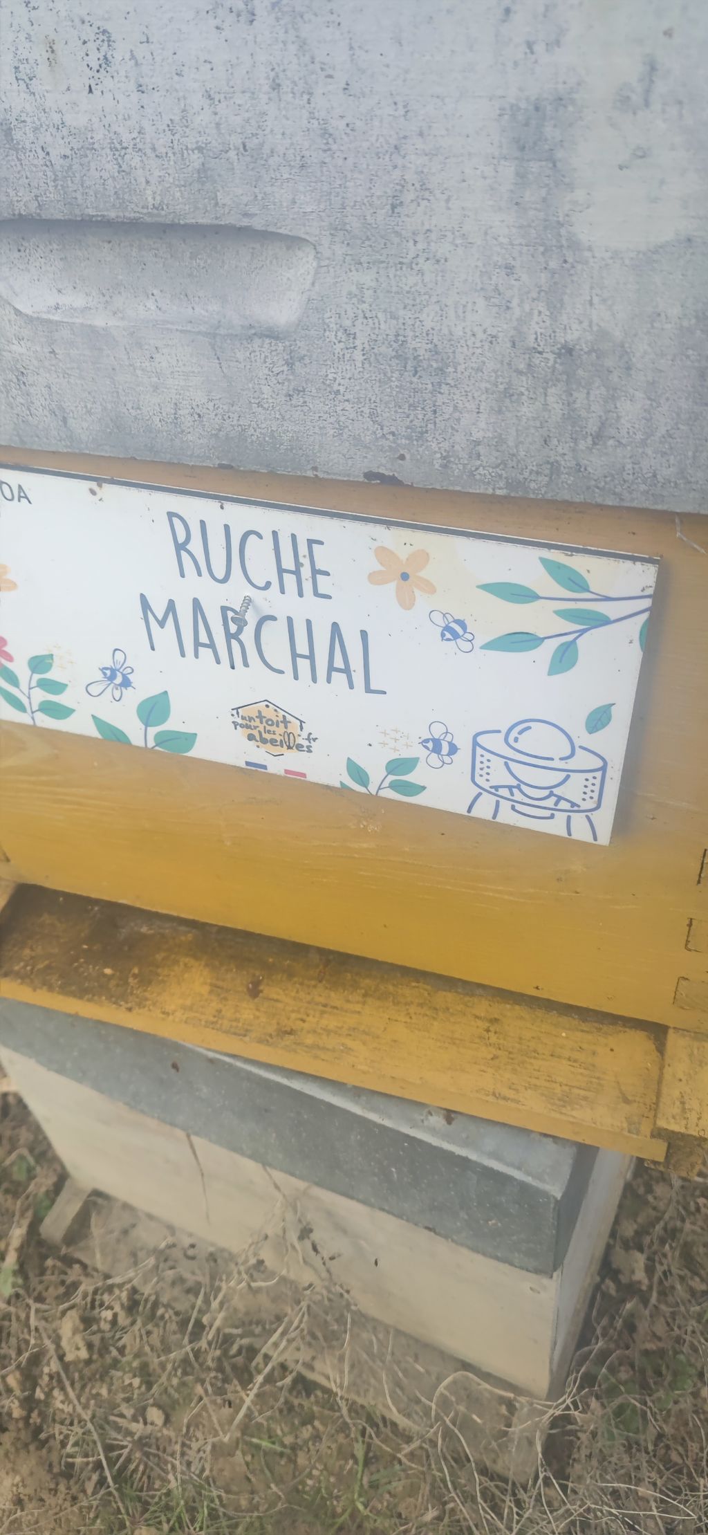 La ruche Marchal