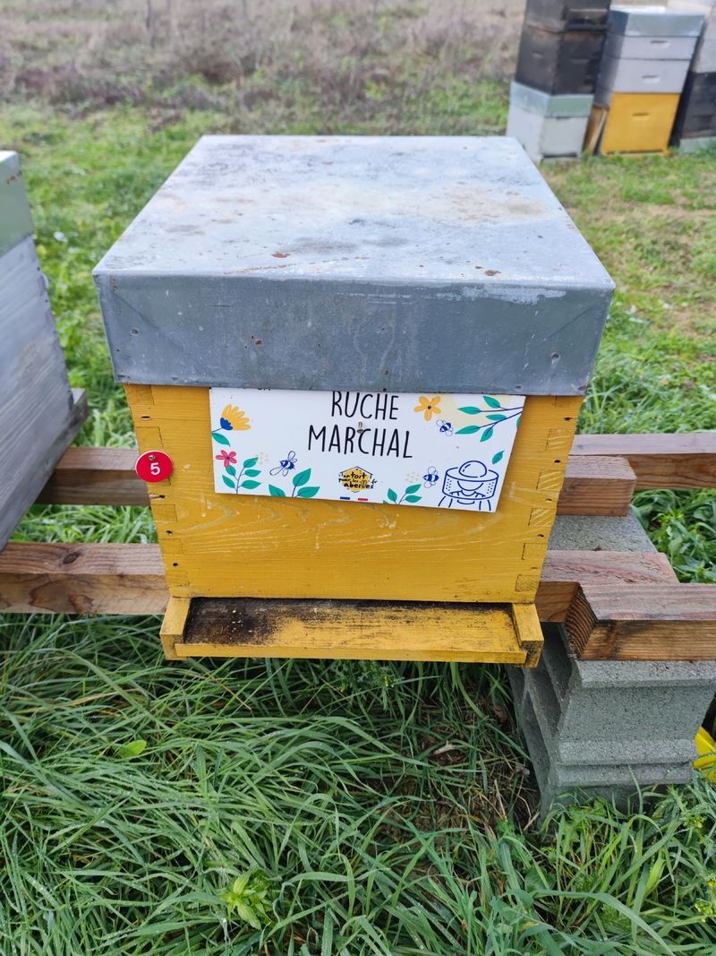 La ruche Marchal
