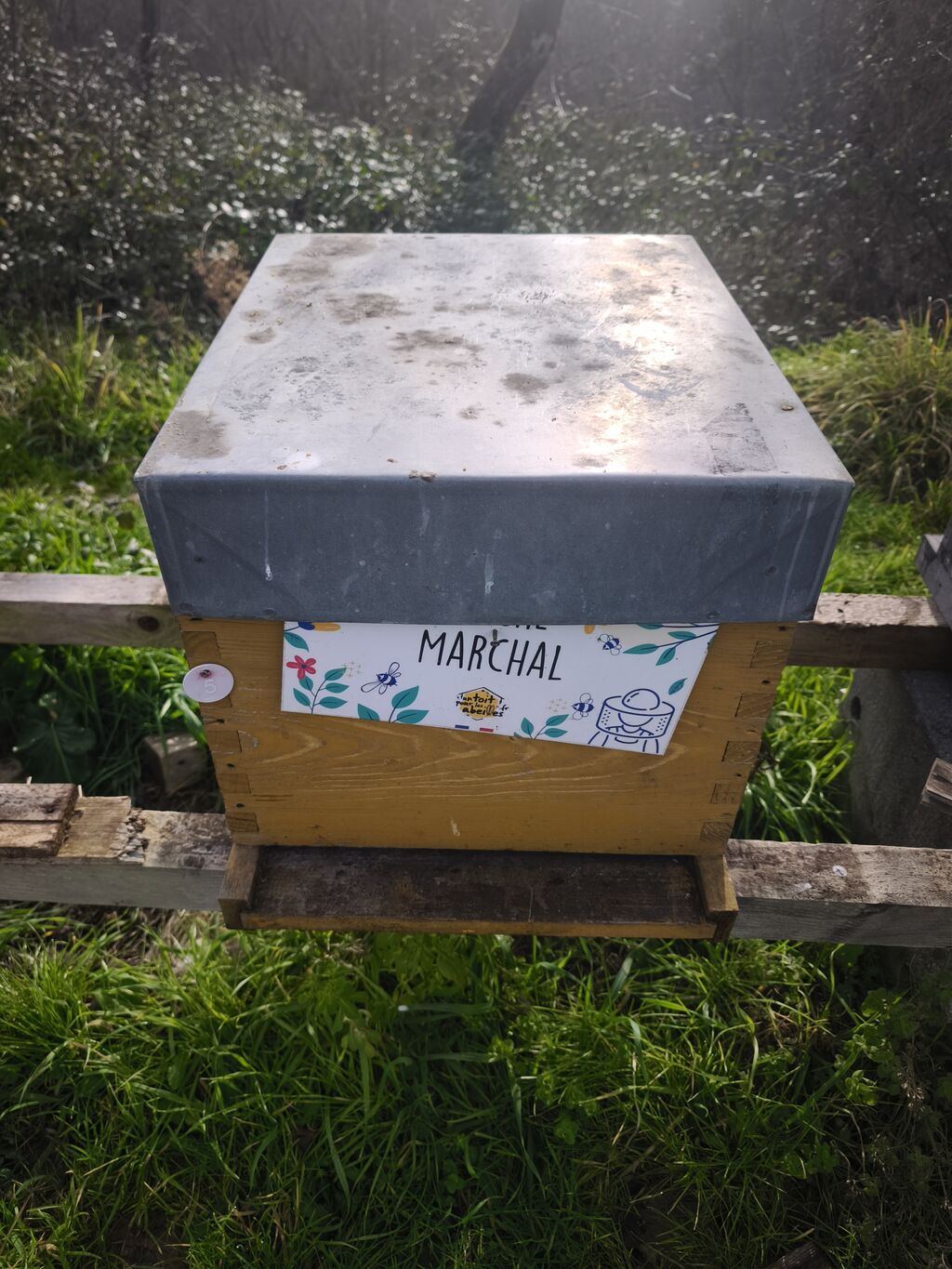 La ruche Marchal