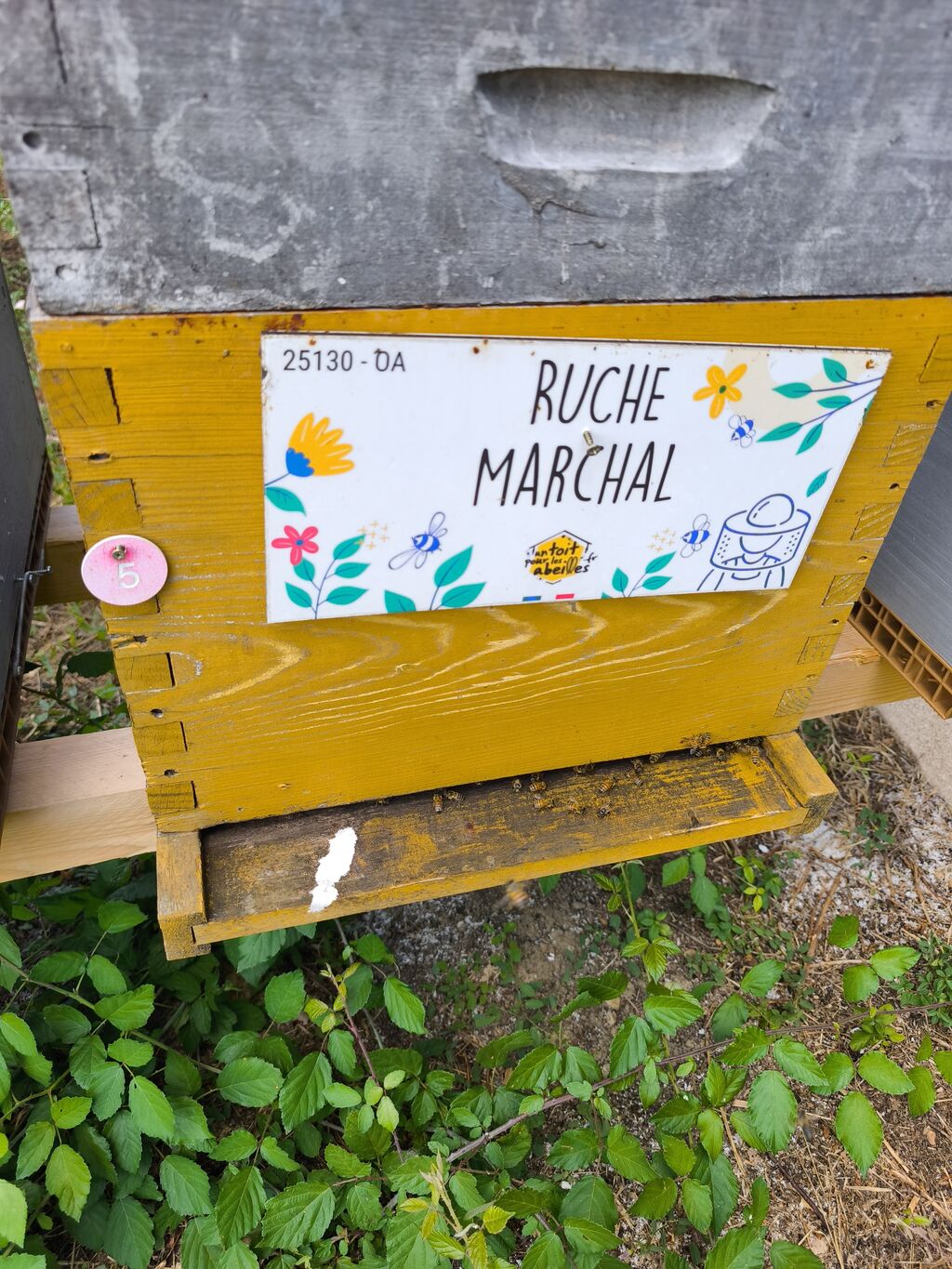 La ruche Marchal