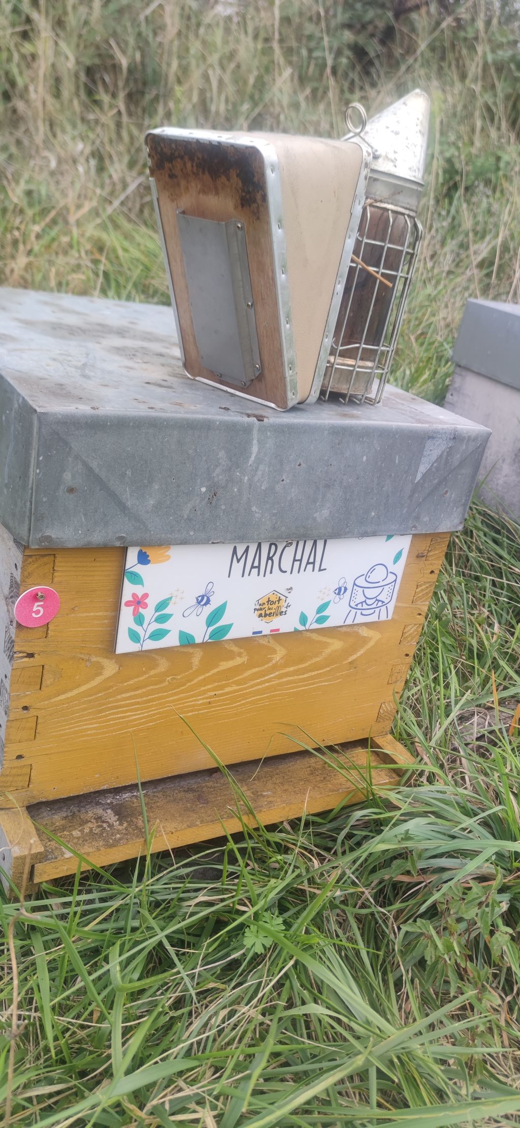 La ruche Marchal