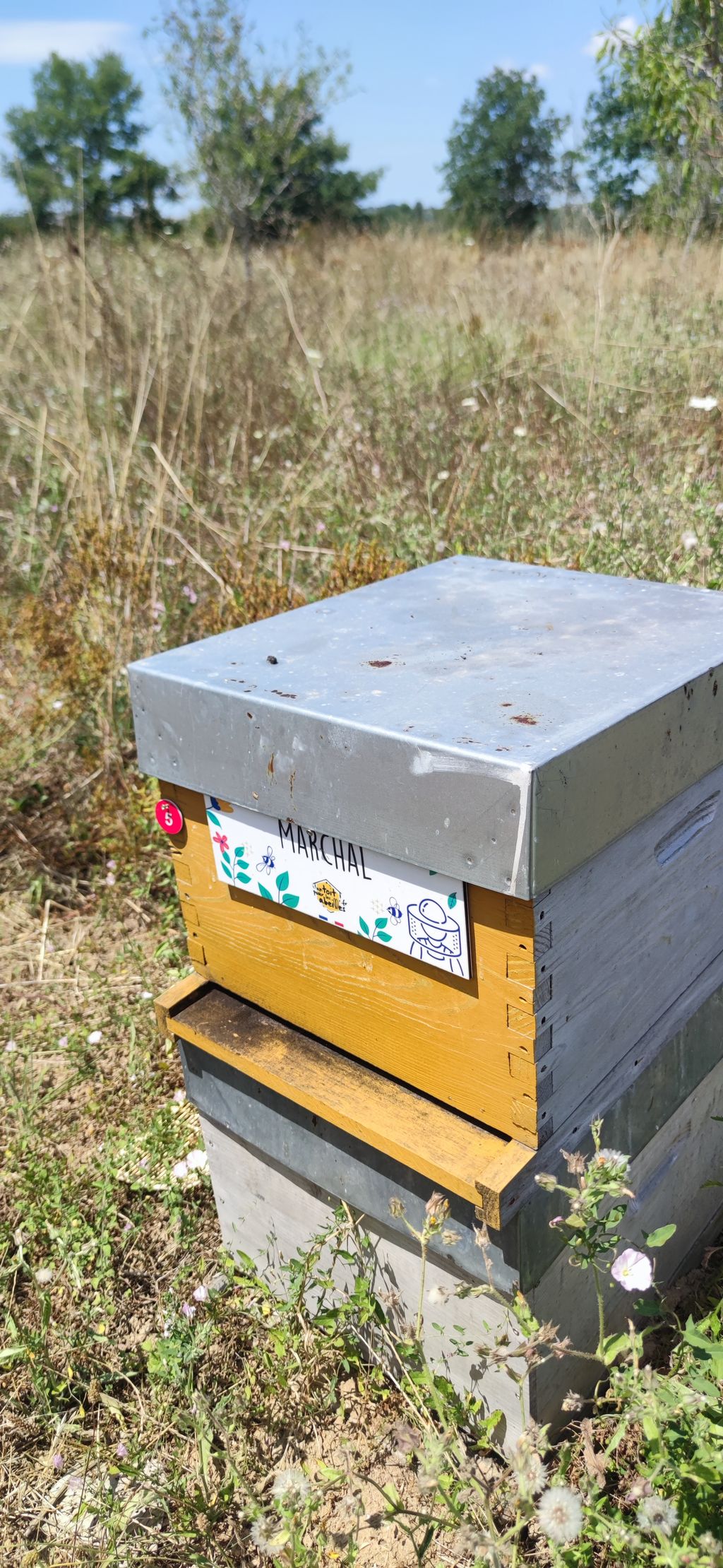 La ruche Marchal