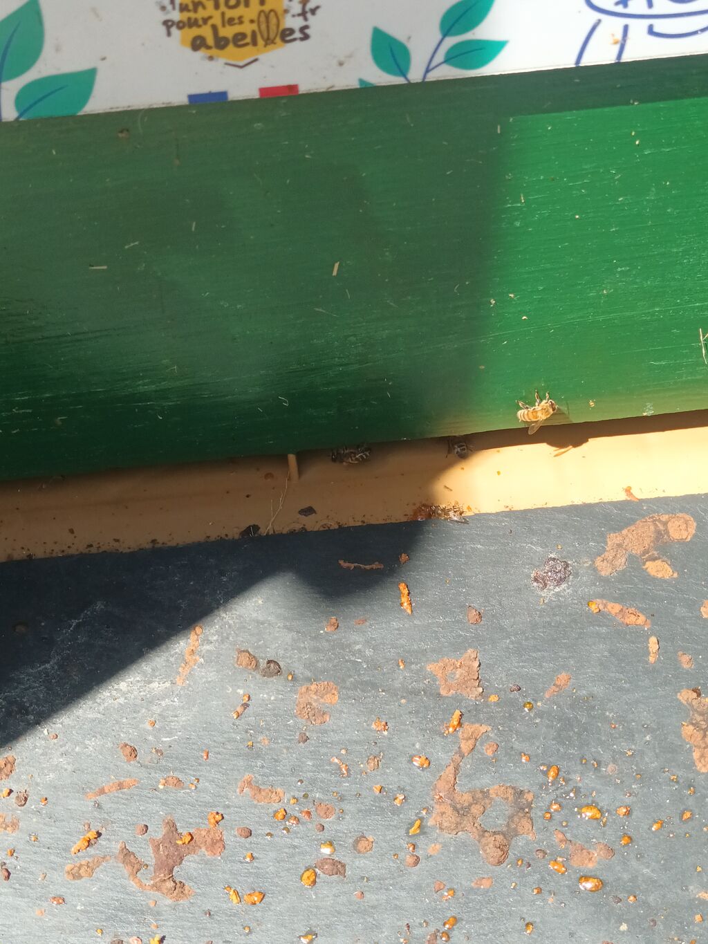 La ruche Marchet