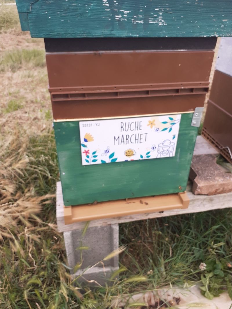 La ruche Marchet