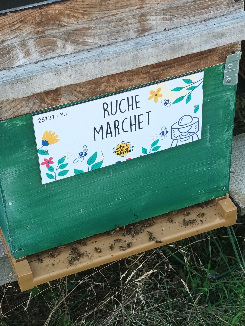 La ruche Marchet
