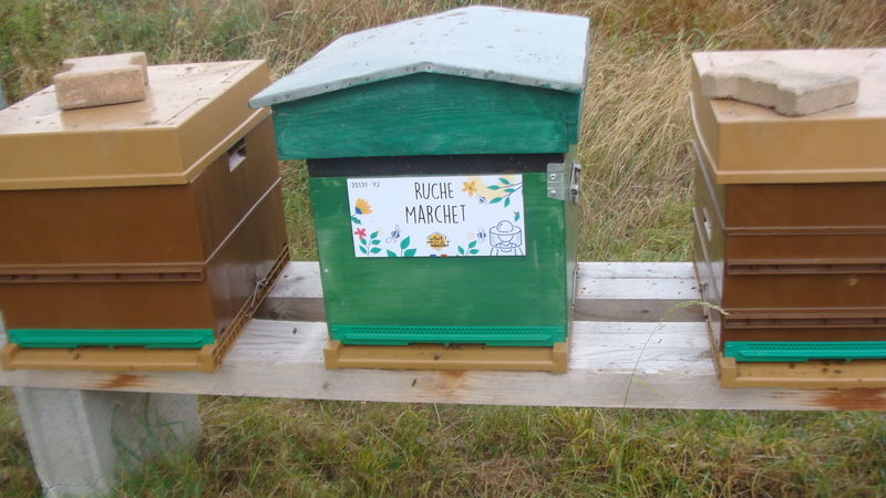 La ruche Marchet