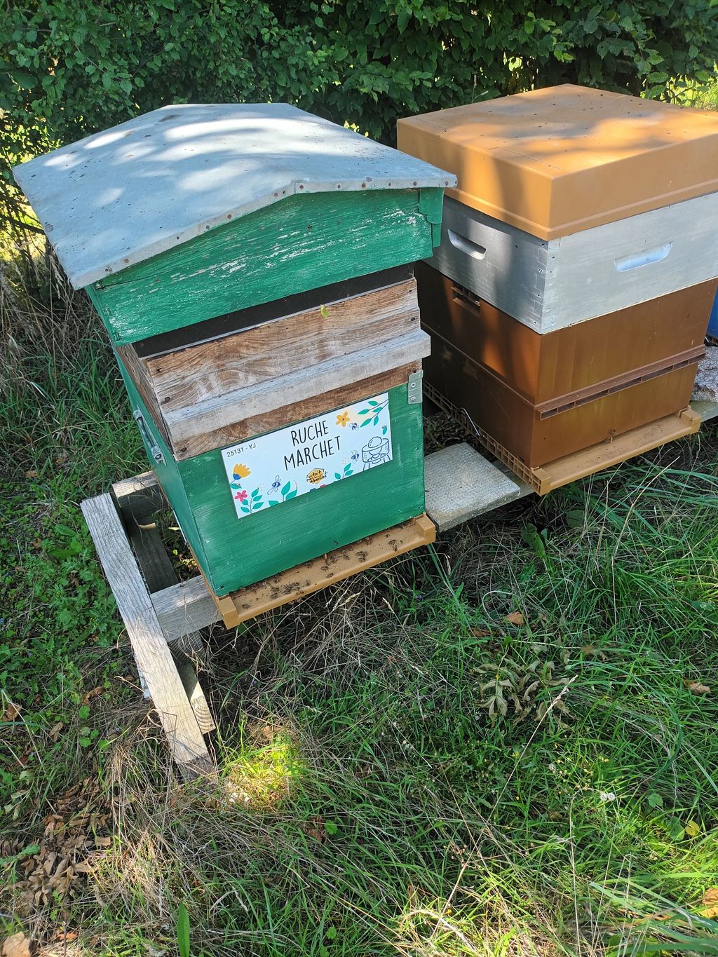 La ruche Marchet