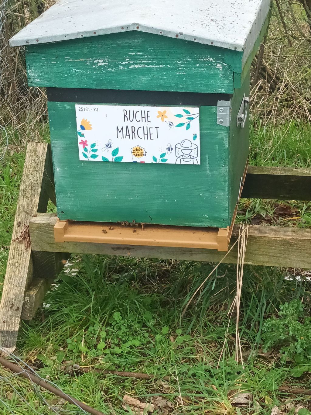 La ruche Marchet