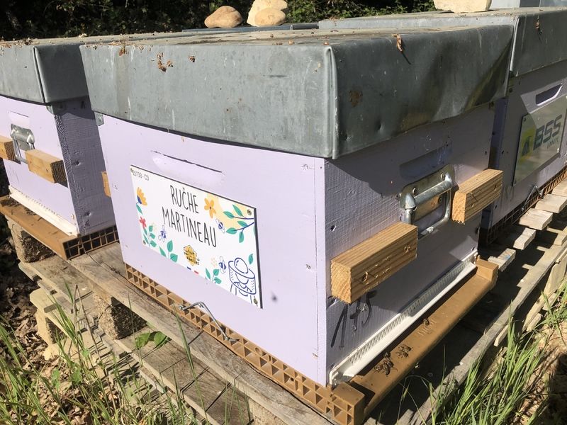 La ruche Martineau