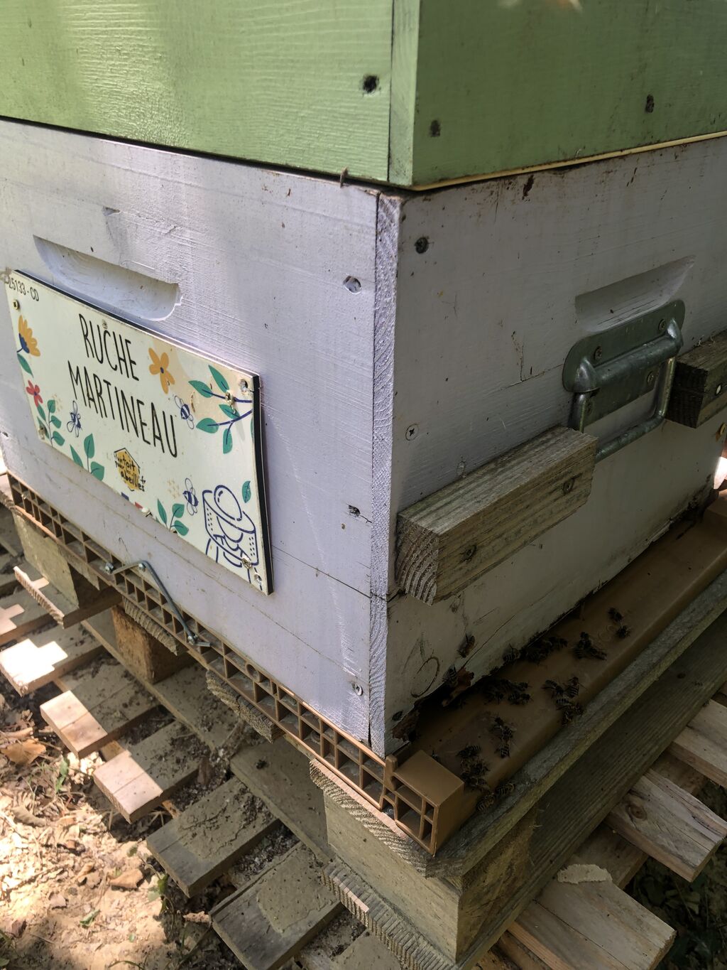 La ruche Martineau
