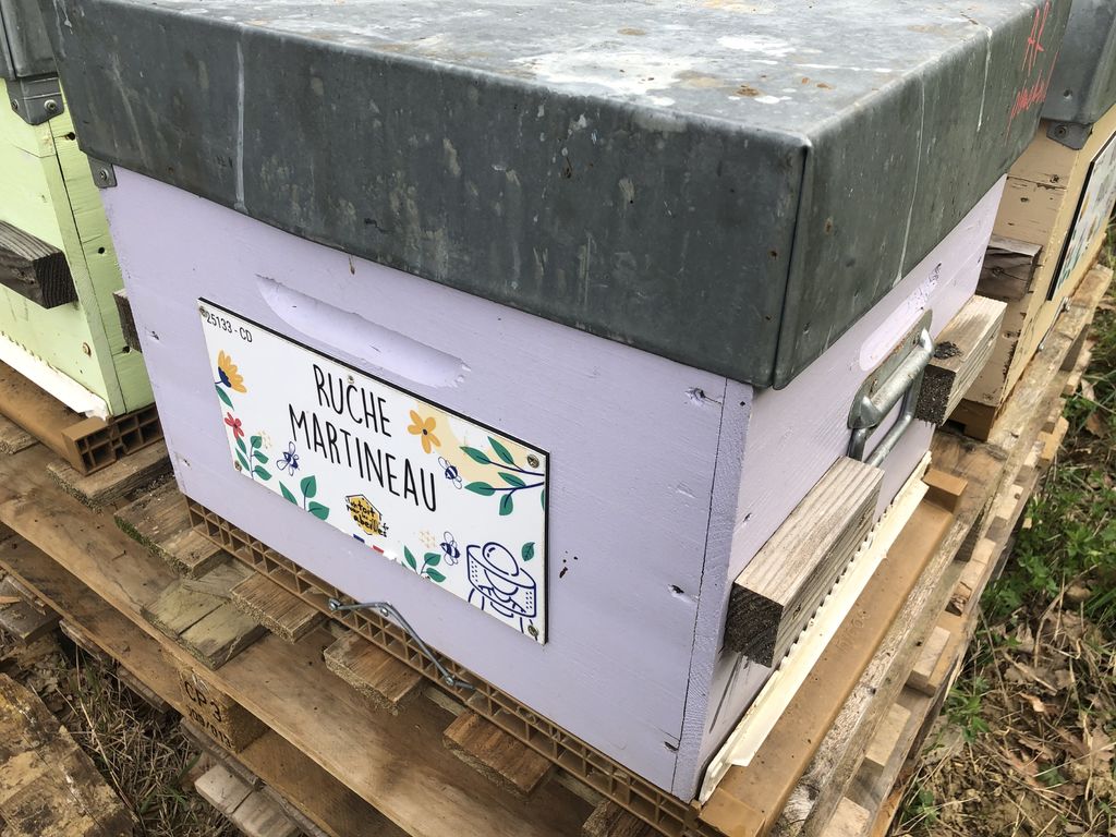 La ruche Martineau