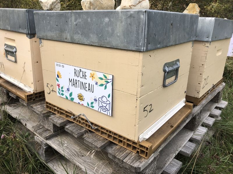 La ruche Martineau