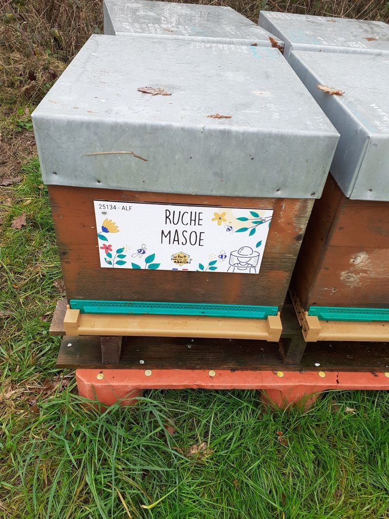 La ruche Masoe